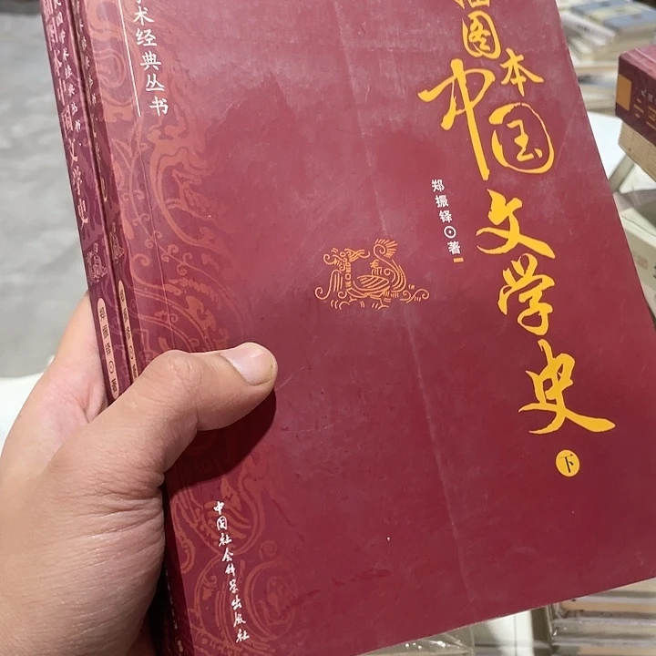正版孤品文学史上下