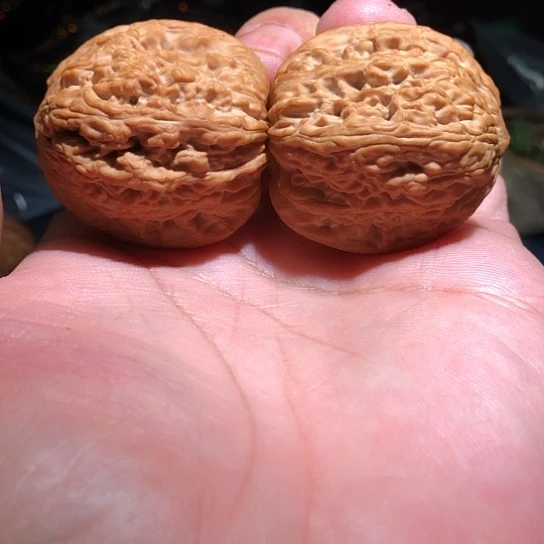 木39精品大肚绣球子