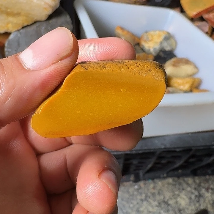 寿山石寿山石的种类