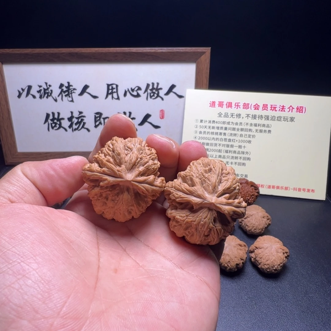 核桃全品球体红锦鲤