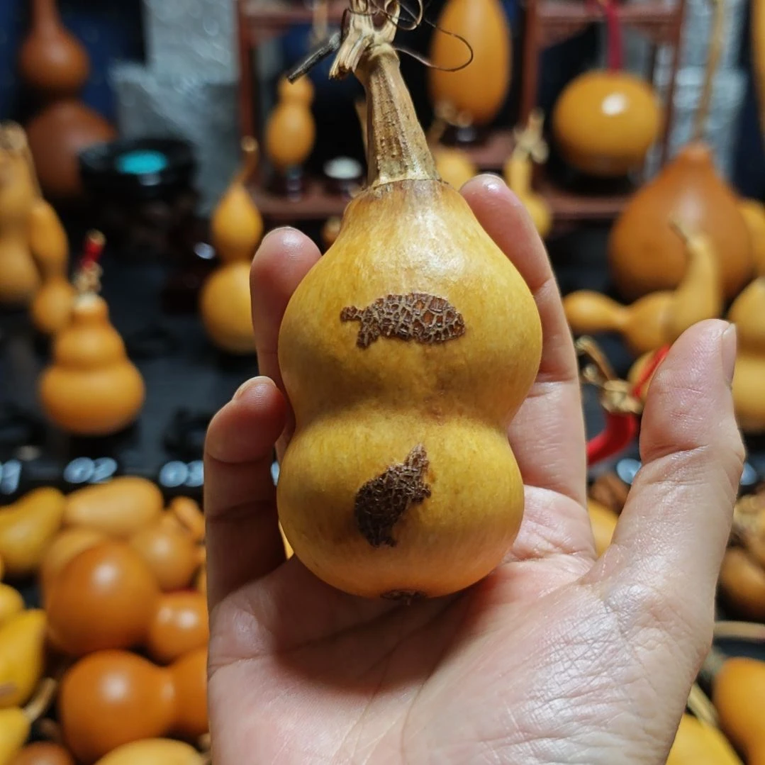 清***摇直播间链接葫芦葫芦
