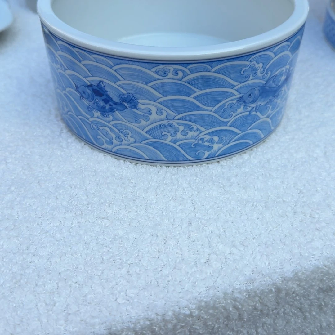 新品上市新品上架