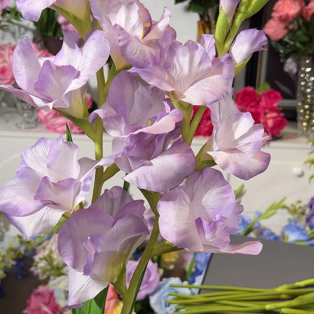 2枝紫色剑兰花。