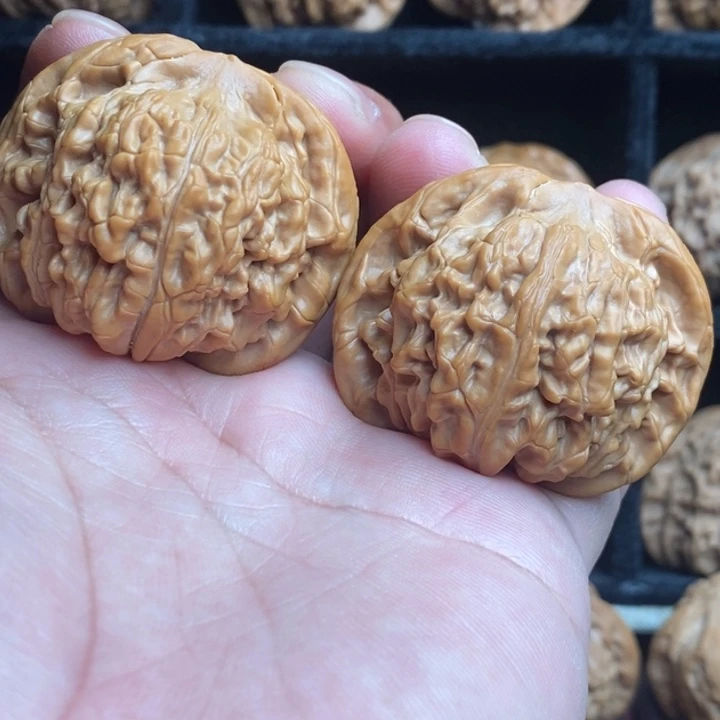 全品小众望月45尺寸