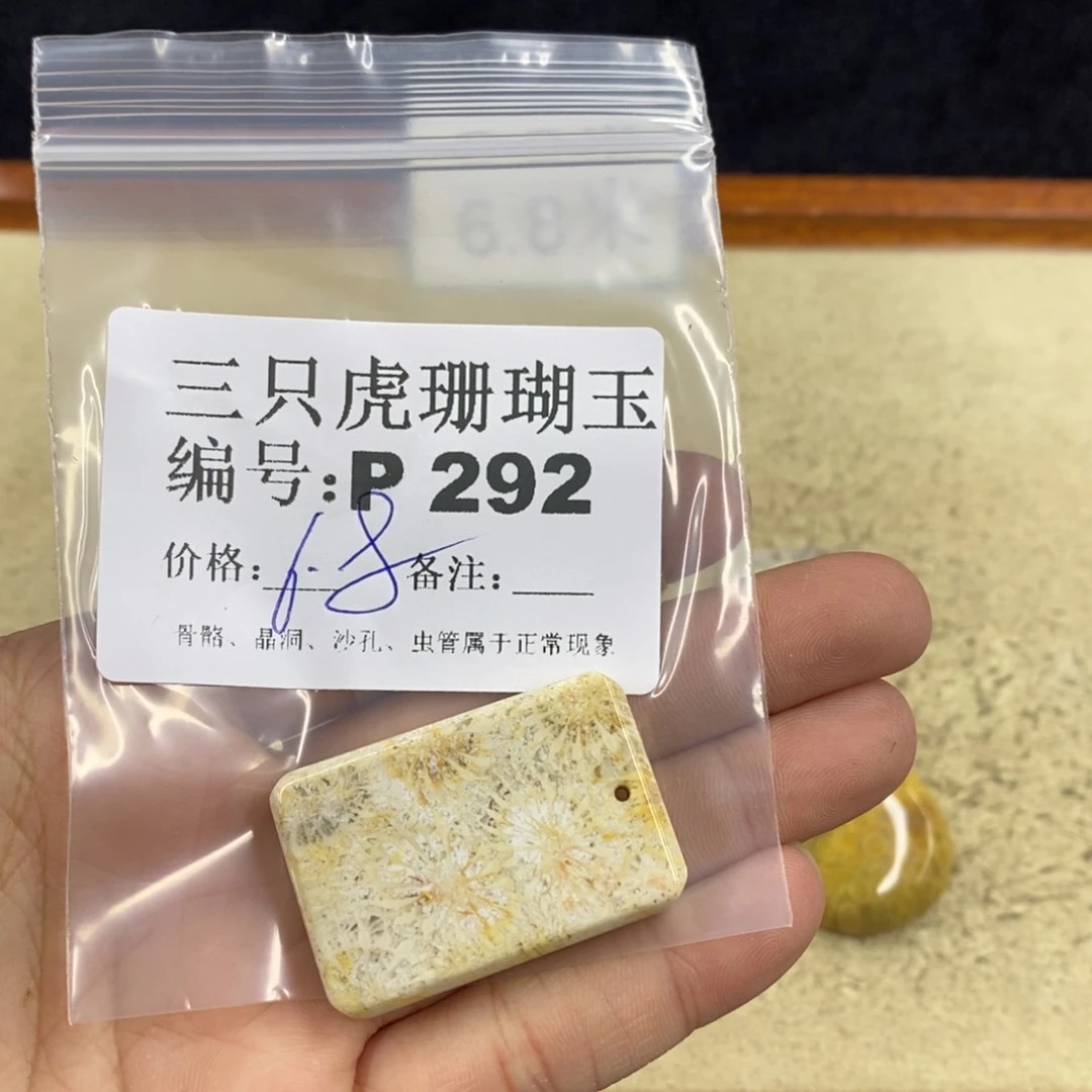 硅化珊瑚（珊瑚玉）1未镶嵌浊*