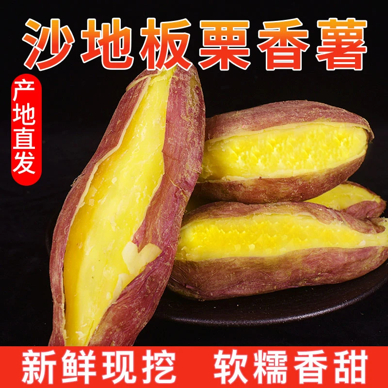 正宗沙地板栗红薯粉糯新鲜番薯粗粮黄心小香薯粗粮烤地瓜5斤9斤