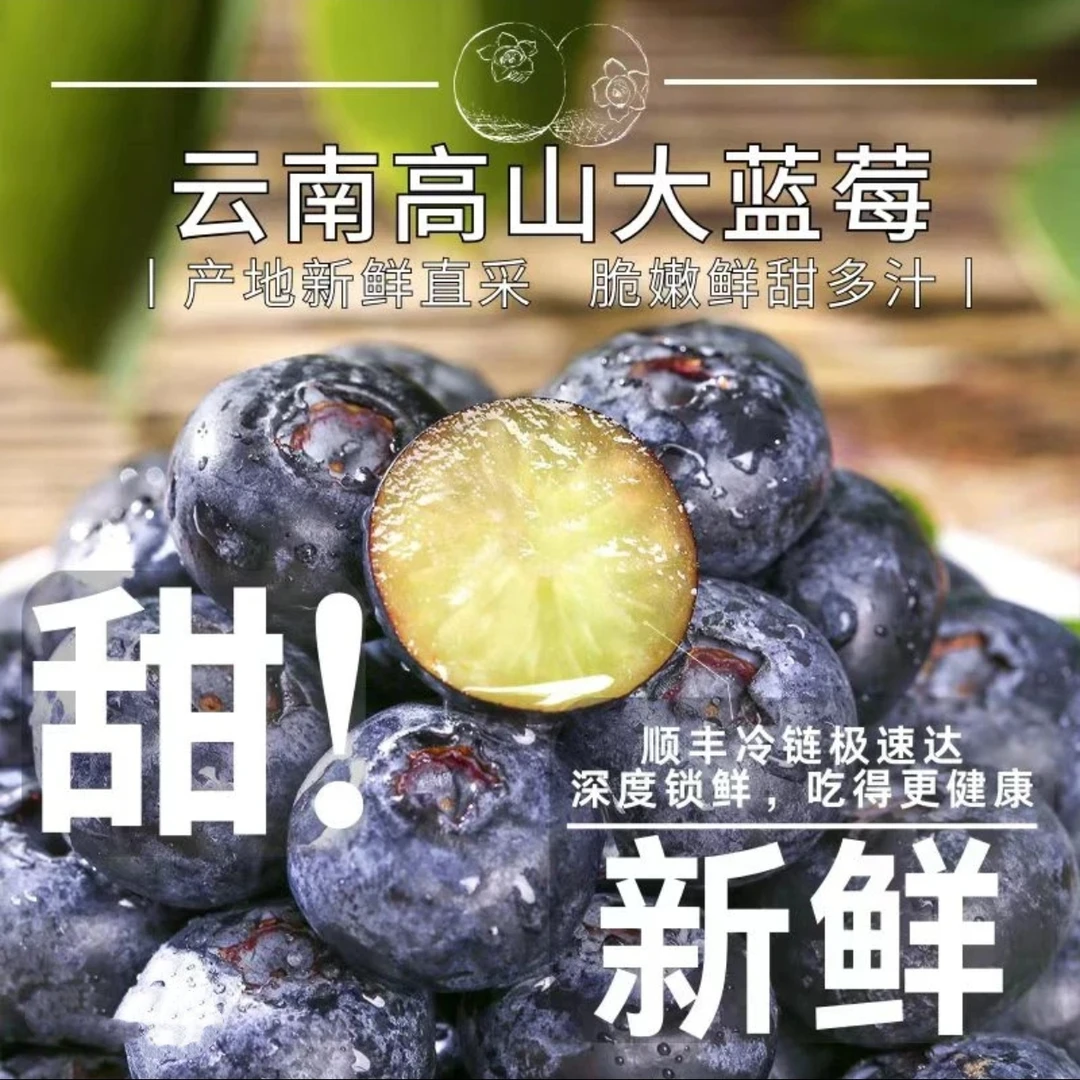 【顺丰空运】正宗云南蓝莓鲜果当季新鲜花香蓝莓现摘直发孕妇水果