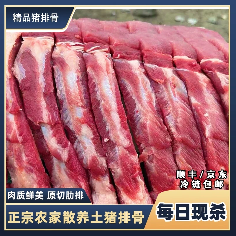 d2 猪排土猪排骨农家土猪肋排骨猪前排带10%脊骨含量 2%脆骨含量