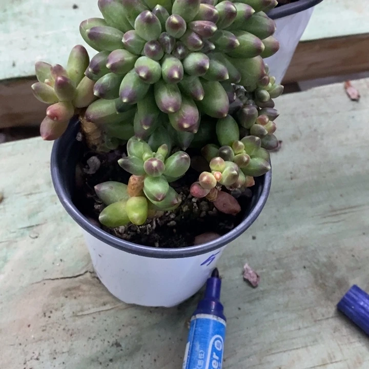 希****嘻一物一拍千代田57