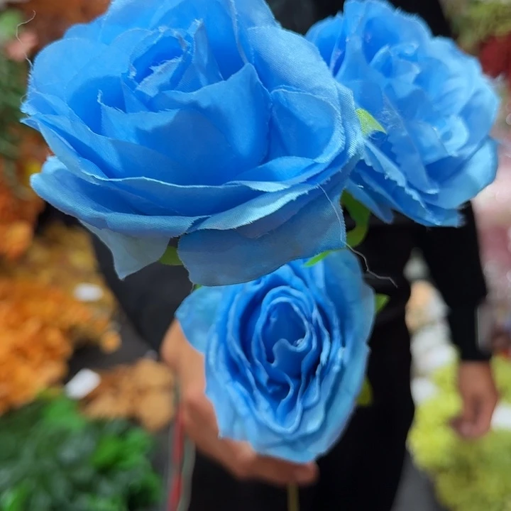三头玫瑰蓝色20支