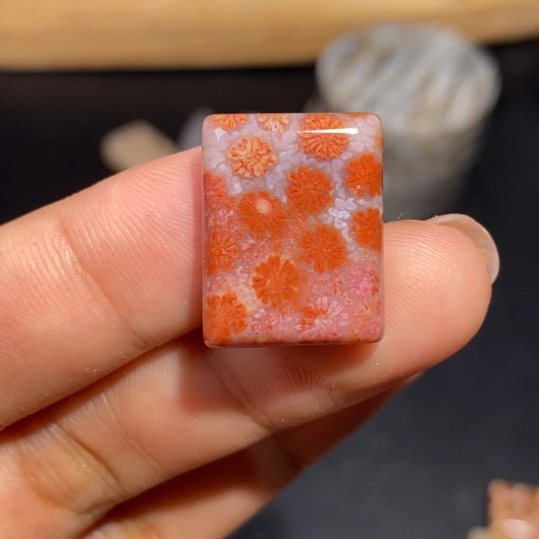 【闪购商品】硅化玉颈饰未镶嵌