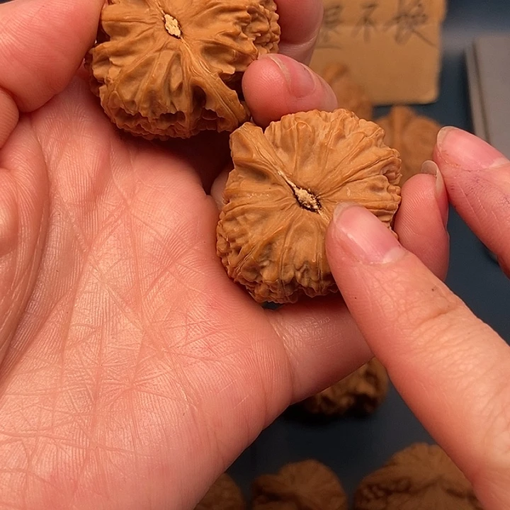 云***客大大大大大大角白