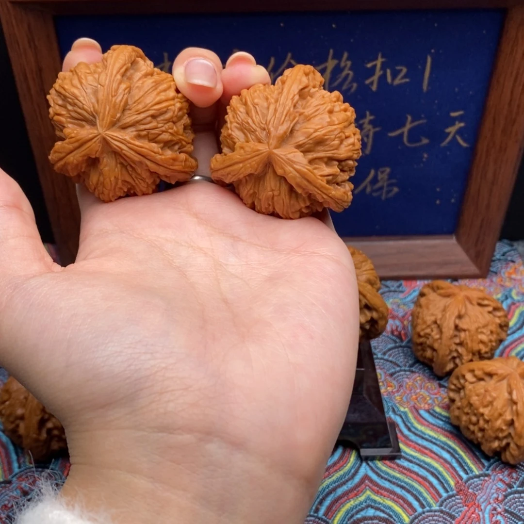 【闪购商品】H****2白狮