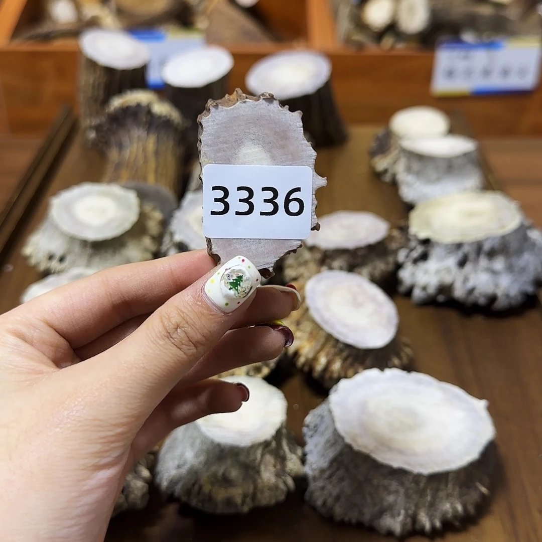 手串/手链鹿骨角片3336