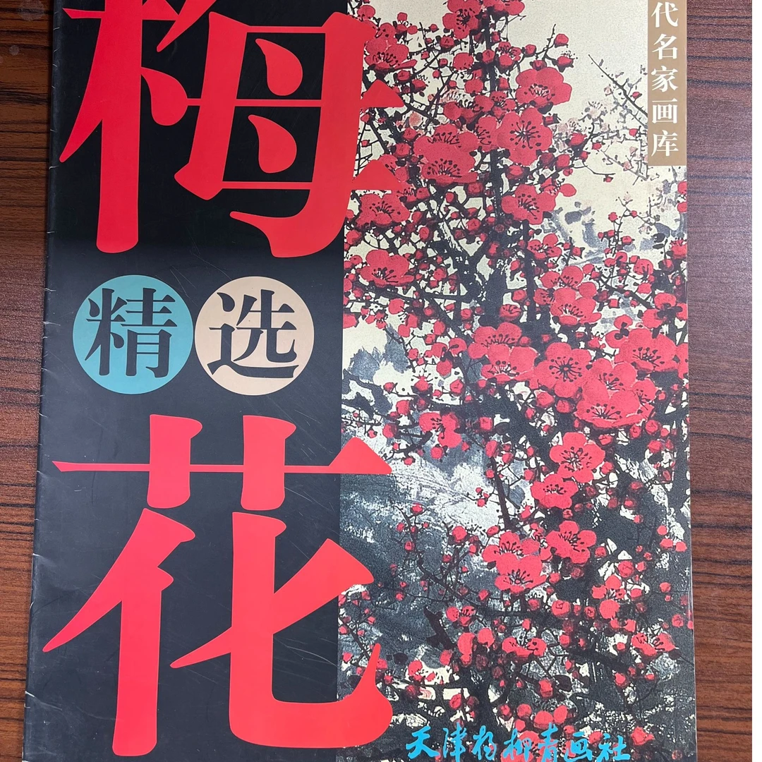 梅花精选天津杨柳青大四开画册书籍国画花鸟临摹