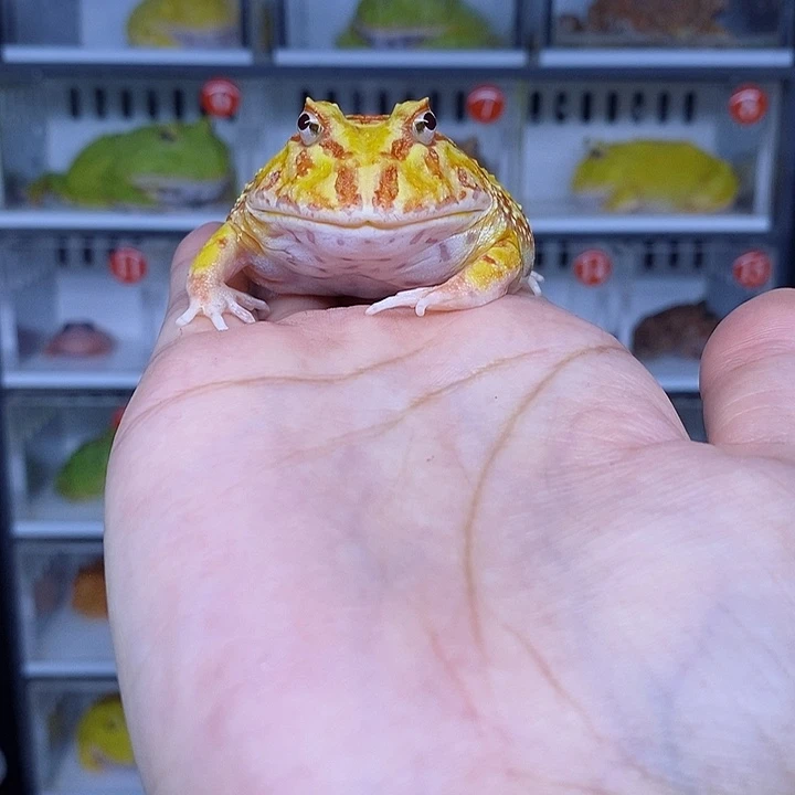 特价秒杀特价原价
