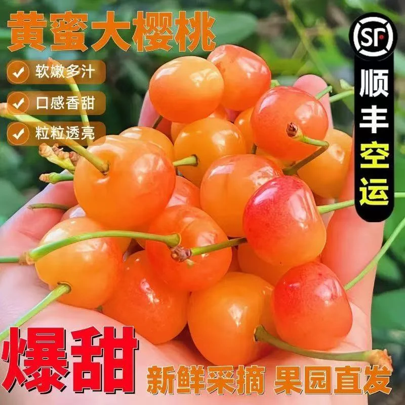 【顺丰现货航空冷链】黄蜜樱桃软糯香甜黄水晶J车厘子净重3斤包邮