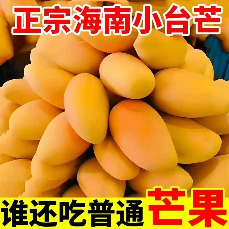 【新人价5斤更划算】小台农芒果应季新鲜水果现摘现发香甜多汁