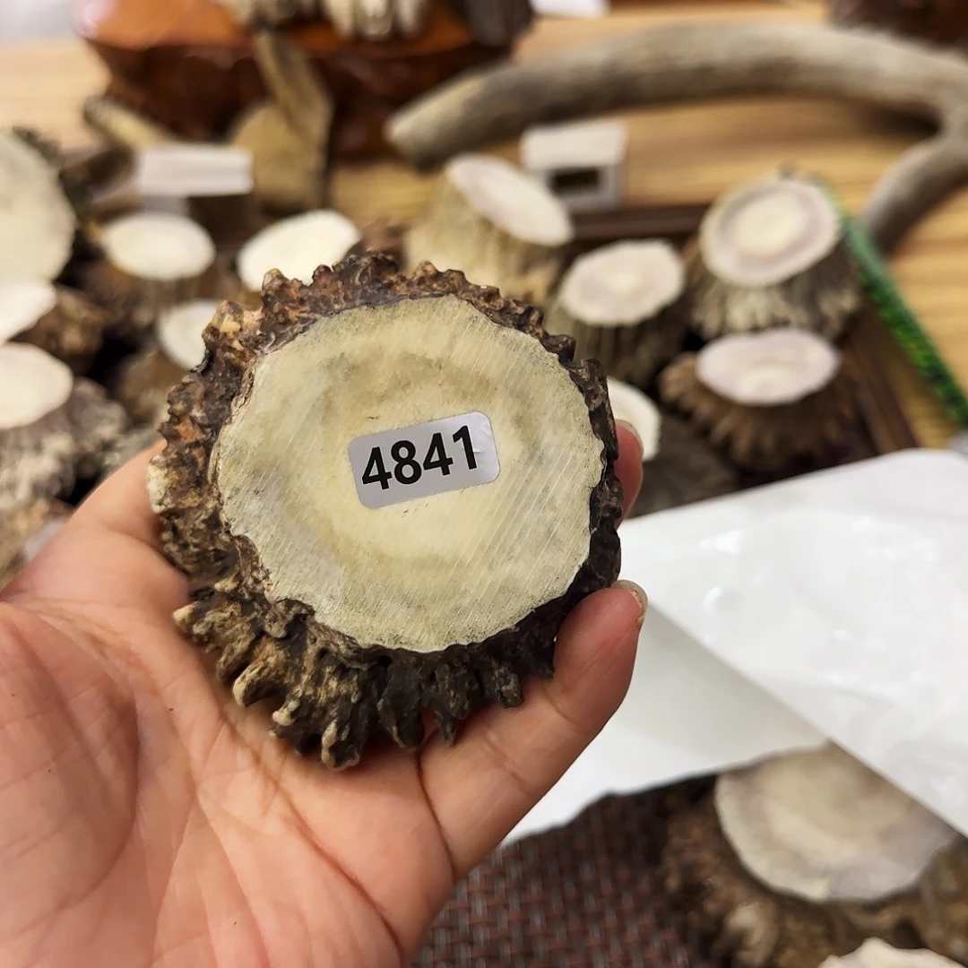 鹿骨手串/手链4841角帽