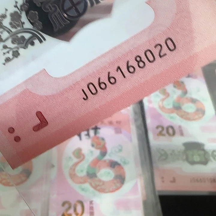 塑料蛇钞朦朦胧王066168020