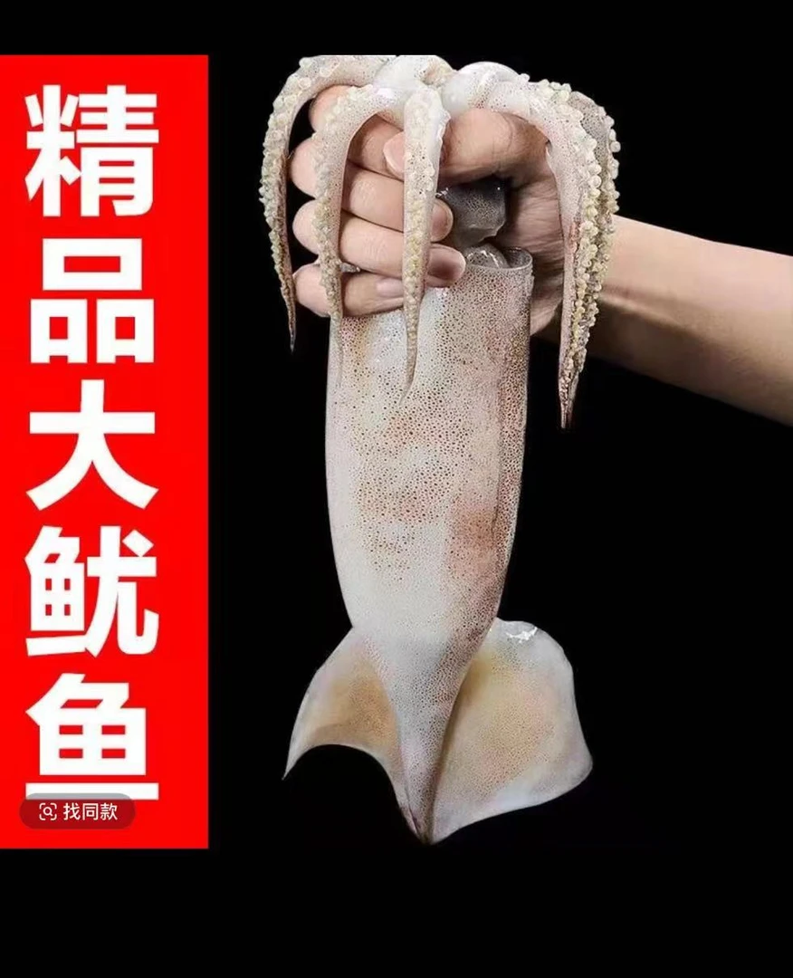 海捕新鲜大鱿鱼5斤鲜活船冻肉质鲜嫩厚实精选 顺丰发货