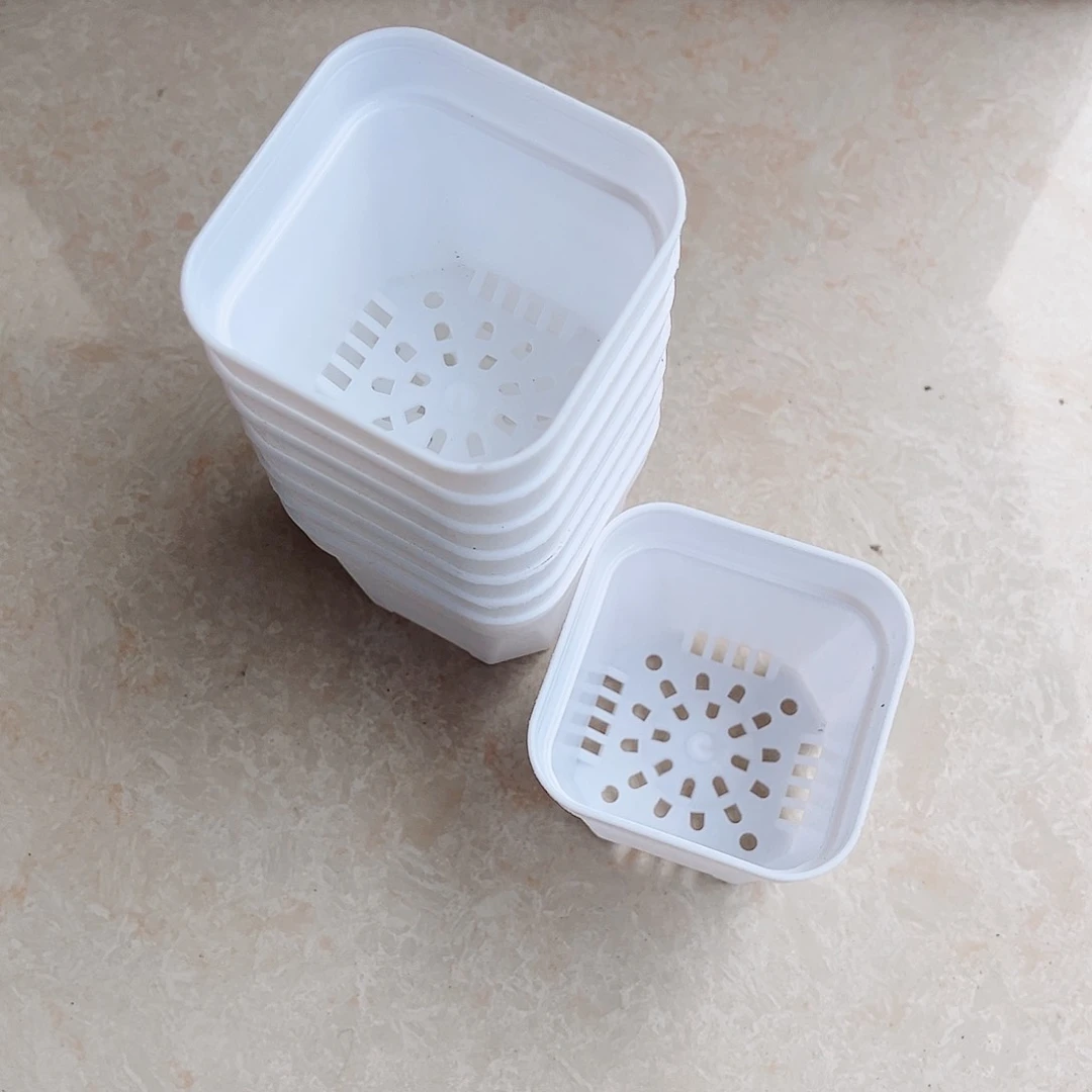 塑料福利款6.4白方盆30个无托