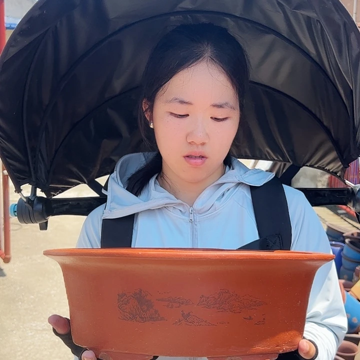 30红椭圆花盆花盆花盆