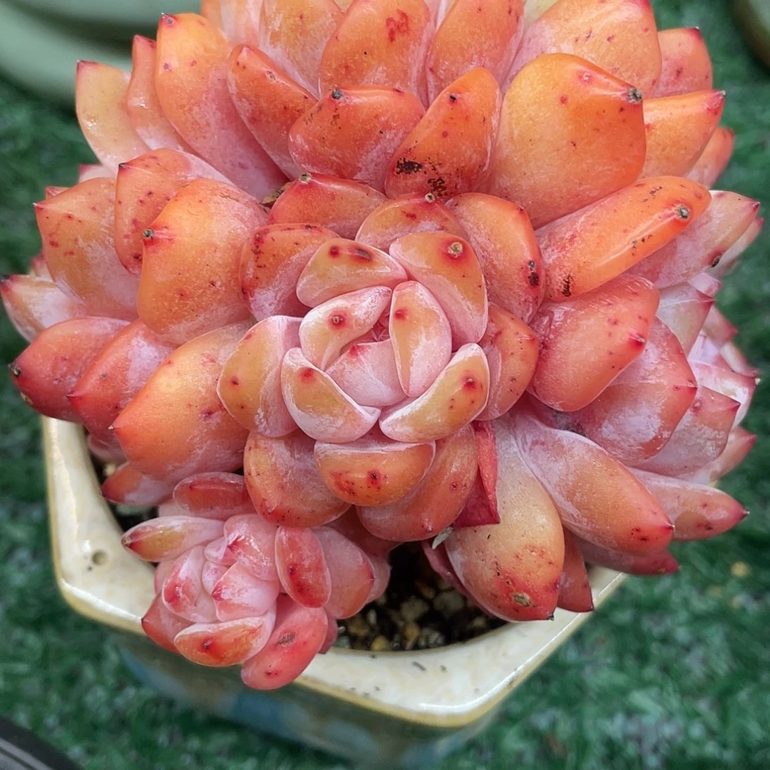 一物一拍满28包邮非偏远