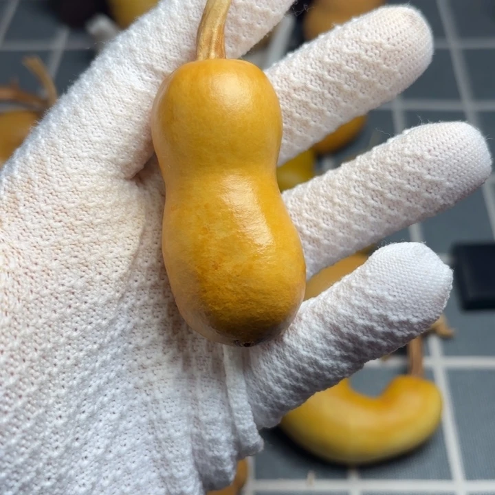 多***咪风裂伤66666666666666