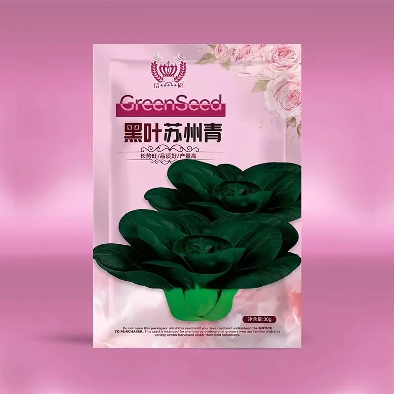信研 趴地苏州小青菜种子
