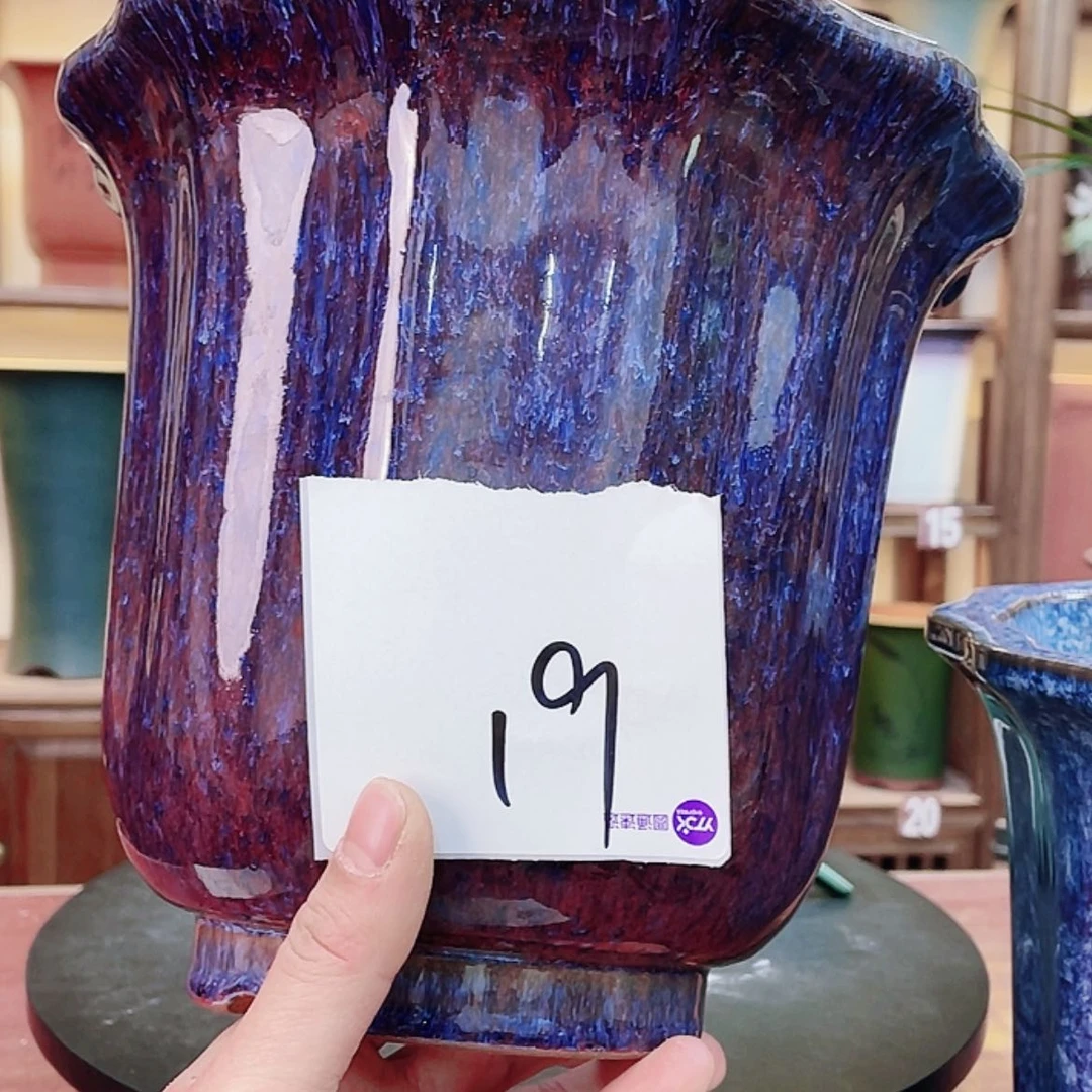 【闪购商品】紫砂花盆黑**香兰花756655547855588455