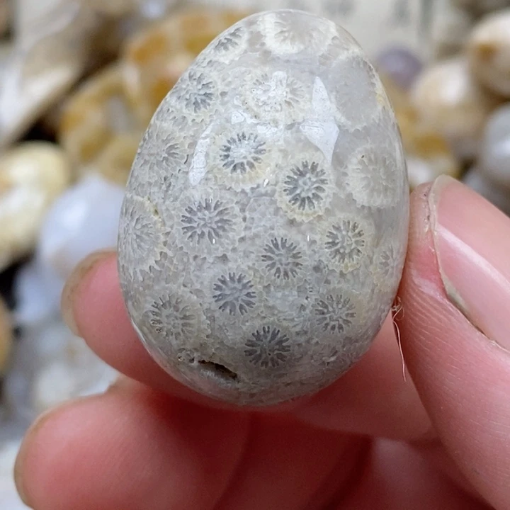 颈饰未镶嵌硅化珊瑚（珊瑚玉）有瑕
