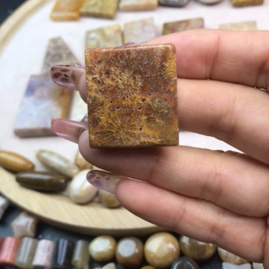 硅化玉未镶嵌颈饰1