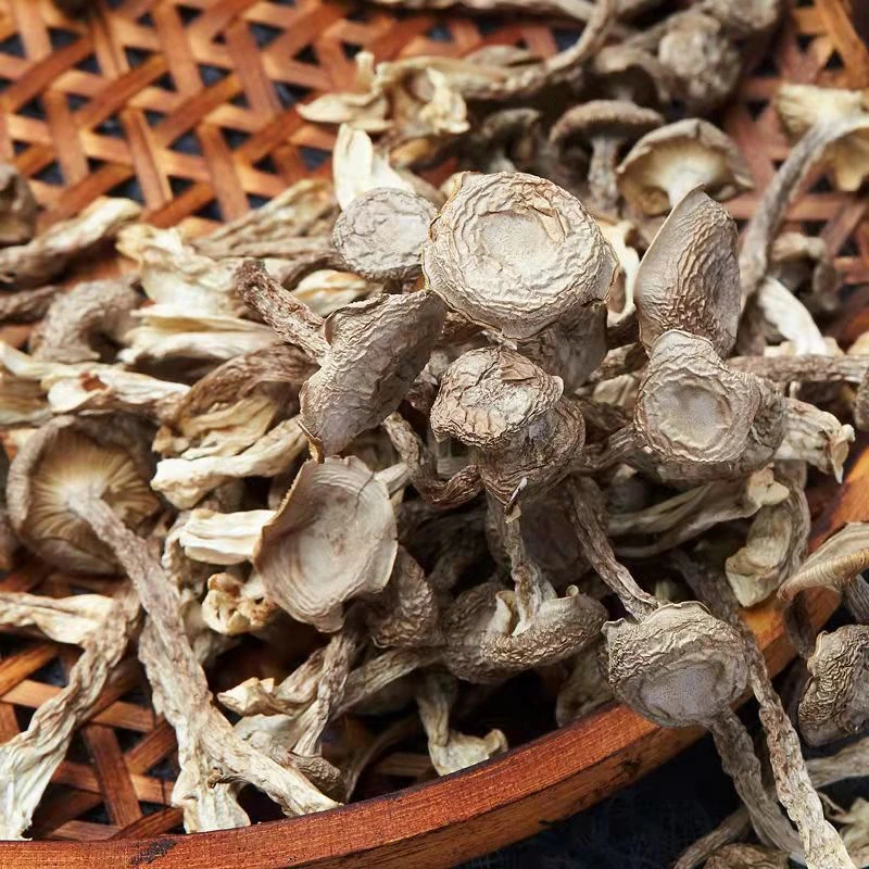 鹿茸菇高山菇干货完整不碎煲汤炒腊肉的食用菌
