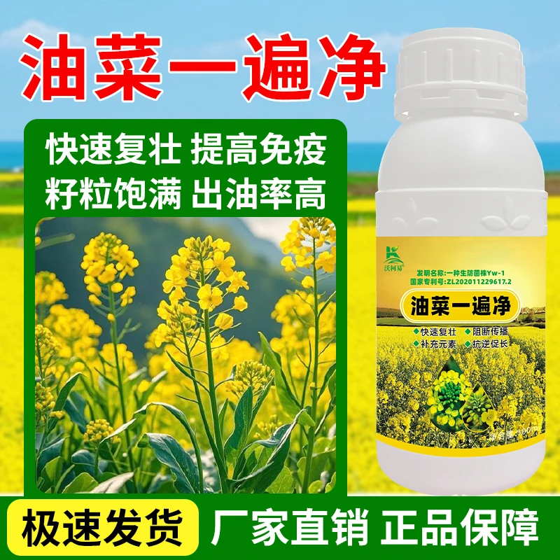 沃柯易油菜一遍国家专利配方提高抗性快速复壮提质增收油菜专用