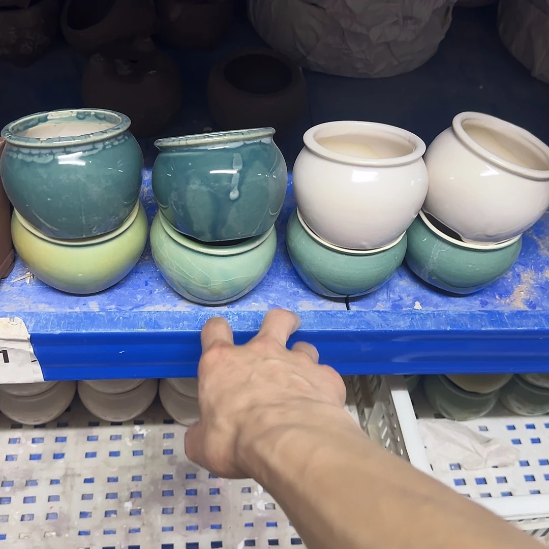 8个随机颜色··福利局绿植多肉盆［凑9元包邮24小时发］