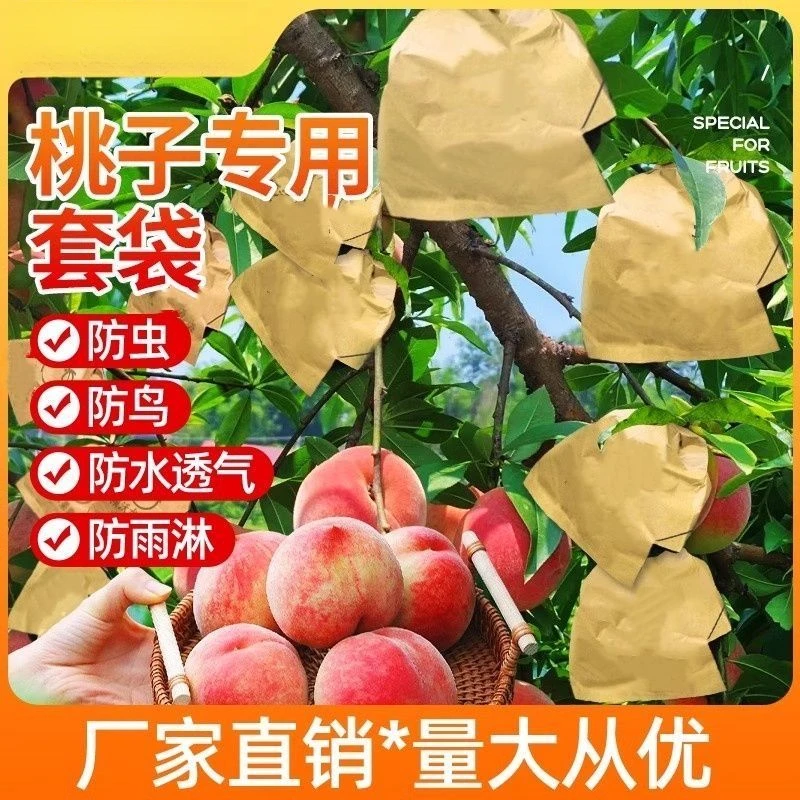 桃子水果套袋专用果袋黄桃桃袋纸袋冬桃水蜜桃蟠桃防虫