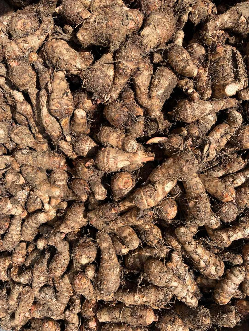 启东本地香酥芋干香软糯