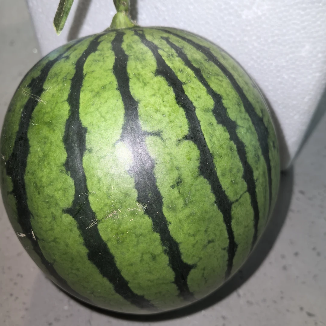 山东2K小糖丸西瓜斤新鲜山东省