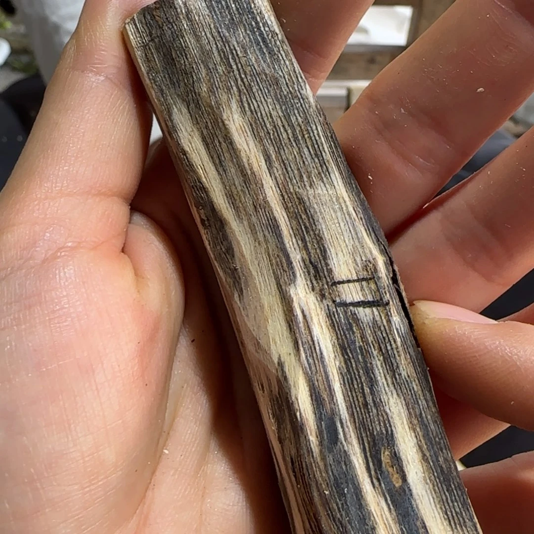 沉香碎屑沉香11号奇楠沉香原木一个