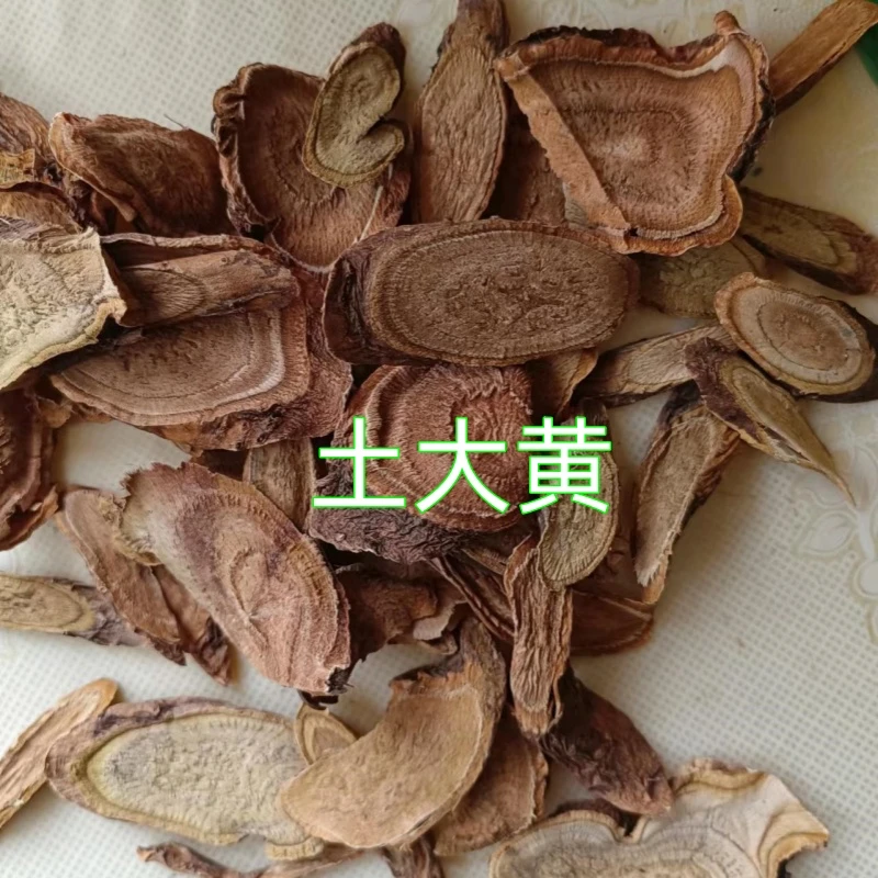 甘肃大山非种植土大黄