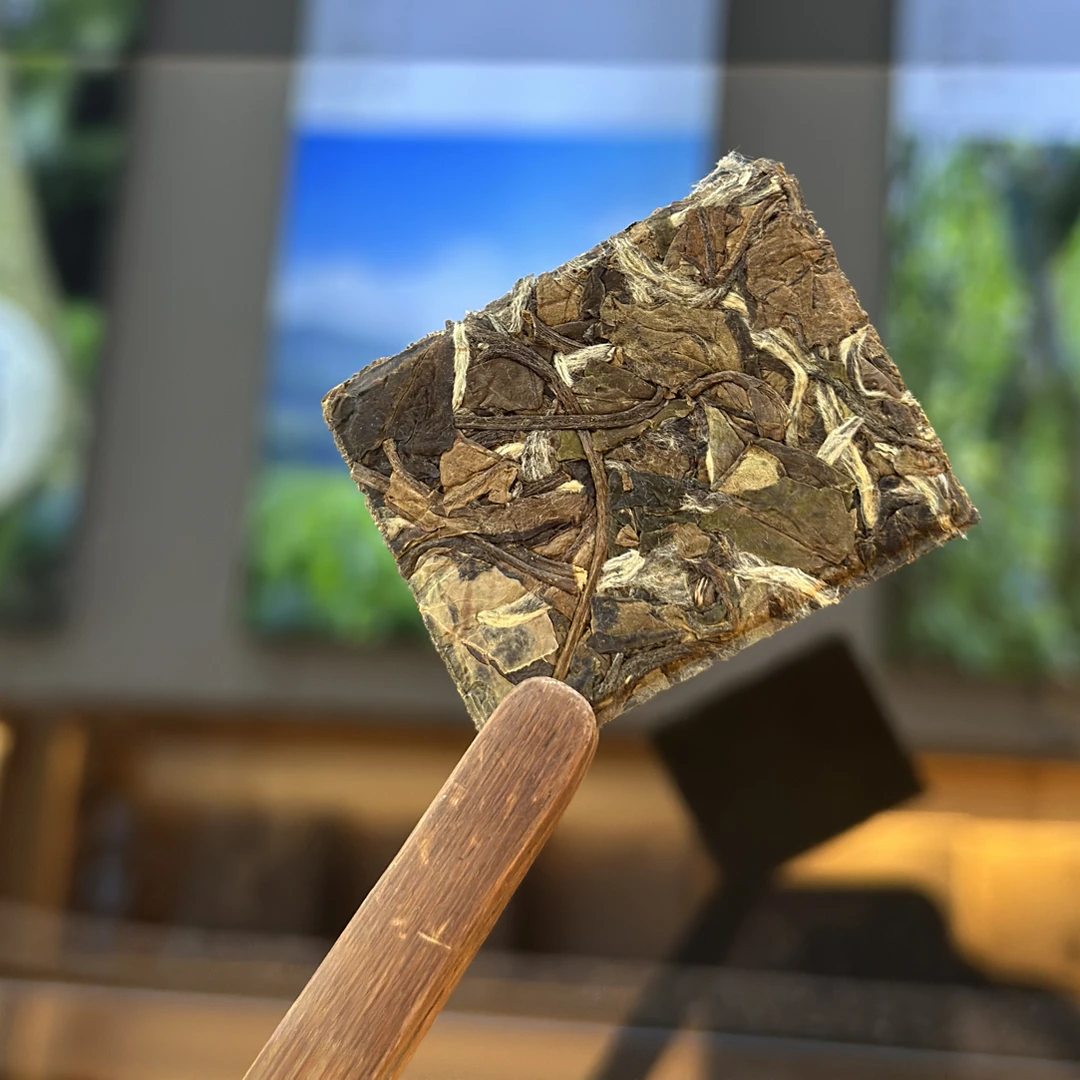 2021年 果香甜润福鼎白茶 .磻溪高山日晒白露寿眉饼干 老白茶