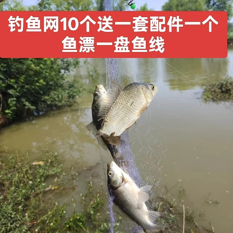 新型钓鱼网10个装
