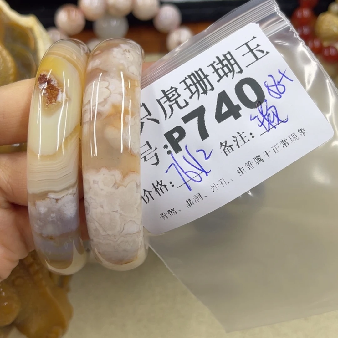 硅化珊瑚（珊瑚玉）h未镶嵌