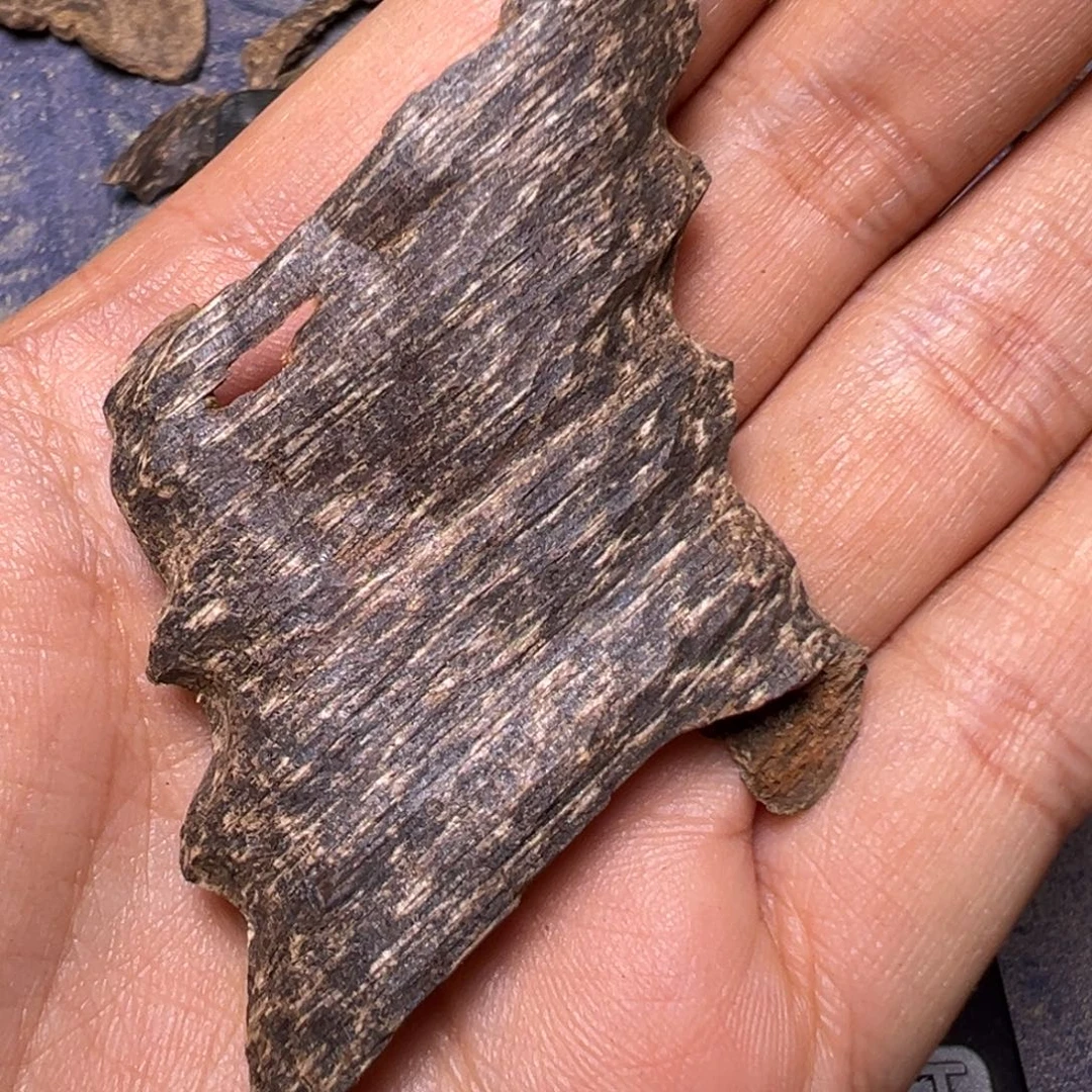 沉香沉香碎屑沉水3克虫漏