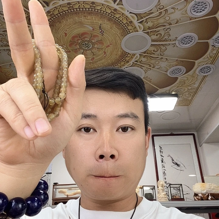 大叶紫檀（黑酸枝木类）2546