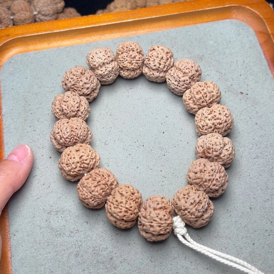 菩提9号金刚菩提满肉梅花23