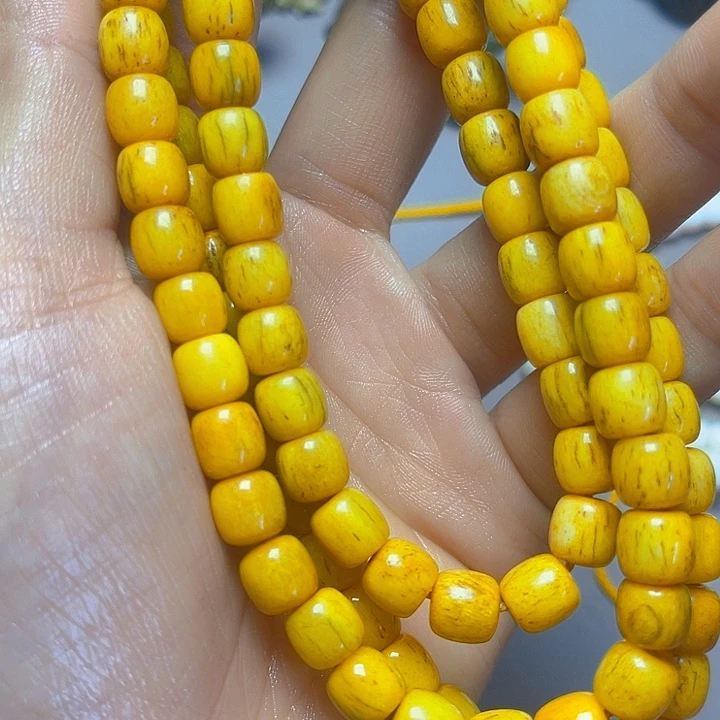 大果紫檀（缅甸花梨）