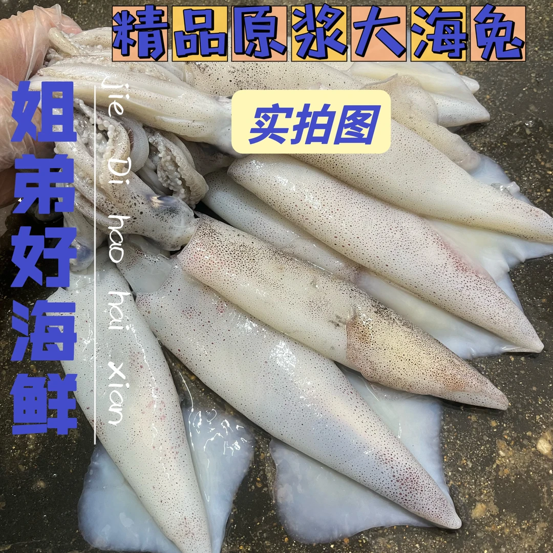 Y【特大号精品】原浆海兔无泡发不缩水每斤约8只上下净重无冰少带籽