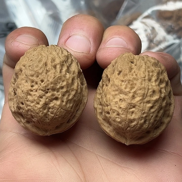 核桃76号罗汉头38尺